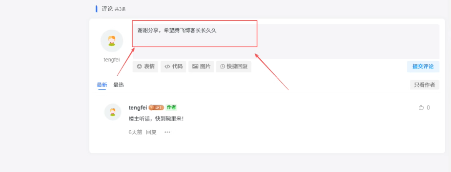 子比主题 – 评论区自动输入随机API评论功能 - 狐狸资源网