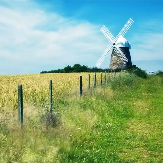 羽肿《Windy Hill》[FLAC/WAV/MP3-320K]