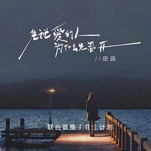 田园《先说爱的人为什么先离开》单曲(2024)[无损FLAC/MP3]