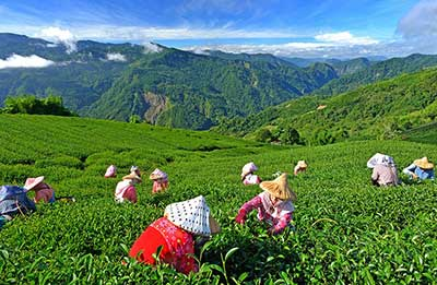 《精选220首山歌大全打包》[高品质MP3/320K]