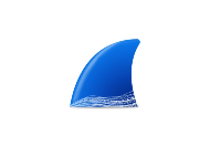 Wireshark v4.6.5 最新版 - 抓包工具-蚂蚁分享网