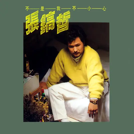 张镐哲《不是我不小心》[FLAC/MP3-320K]